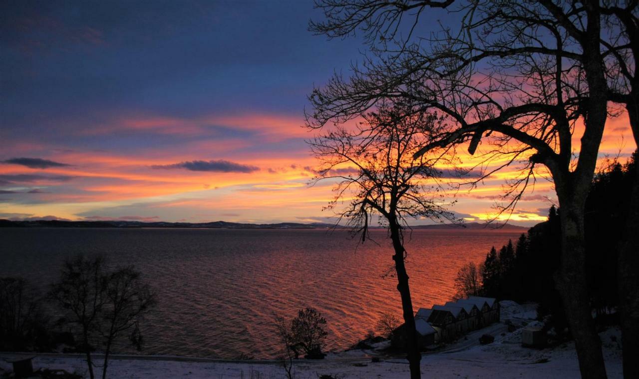 Hjellup Fjordbo Villa Leksvik Dış mekan fotoğraf